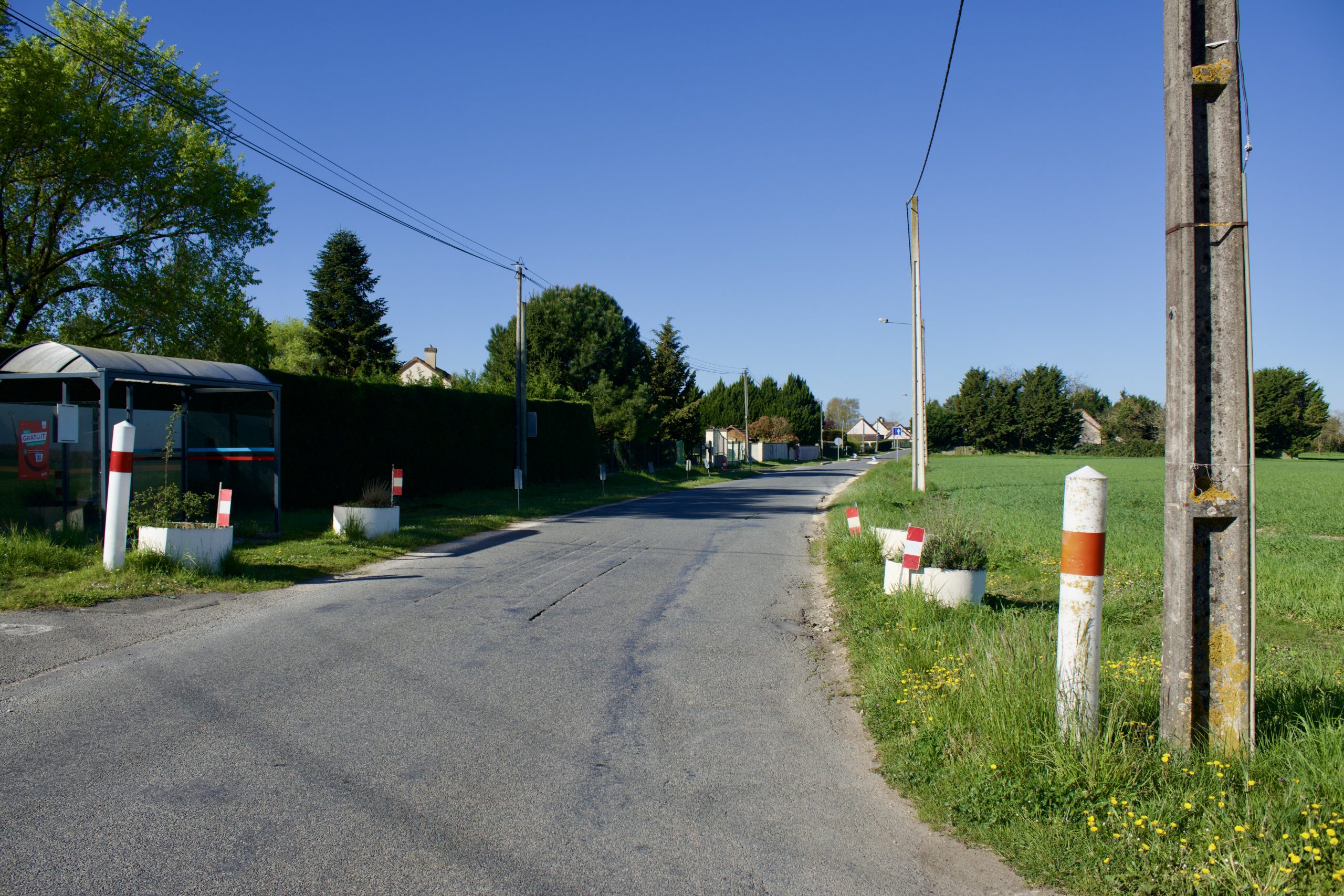 Bois Chagnat